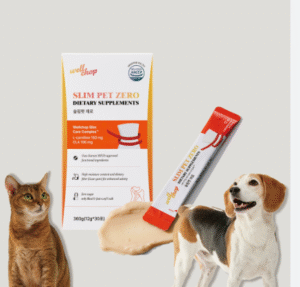 반려견 용품10가지