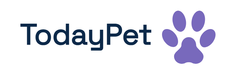 TodayPet