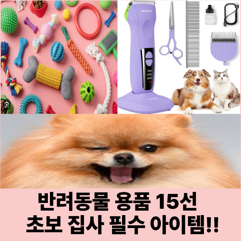 반려동물 용품 15선